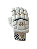 Wasiq Sports Batting Gloves